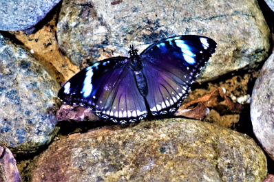 photo 1573834