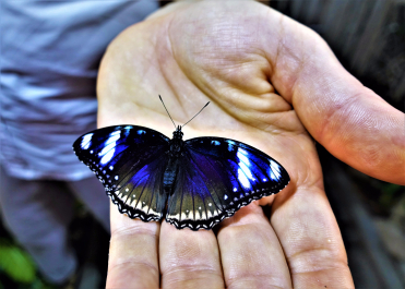 photo 1576138