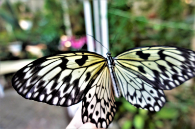 photo 1578752
