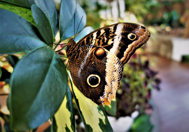 photo 1591785