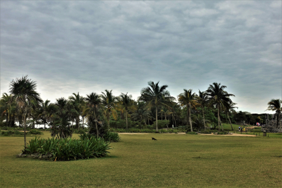 photo 1613743
