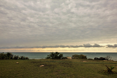 photo 1614883