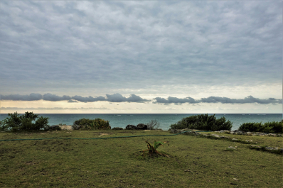 photo 1615268