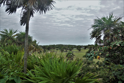 photo 1616786