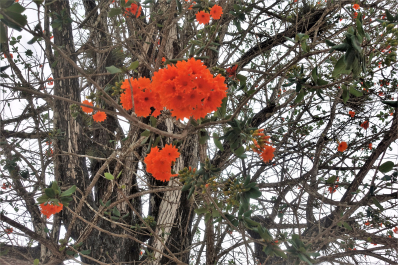 photo 1618980