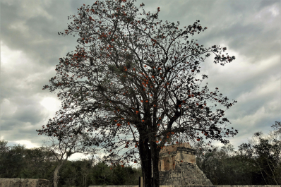 photo 1621274