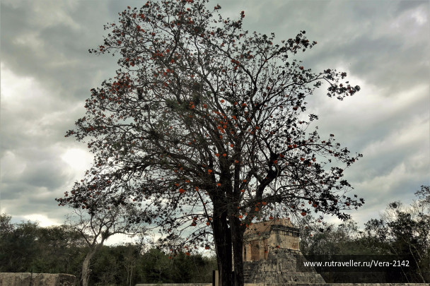 photo 1621274