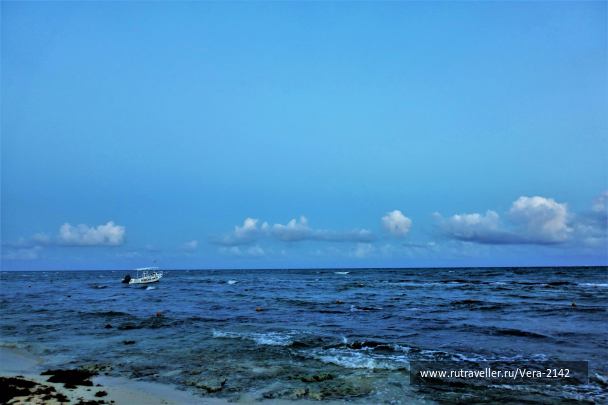 photo 1694698