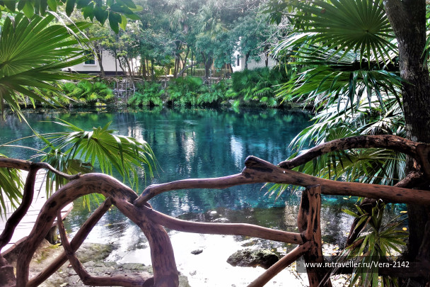 photo 1696834