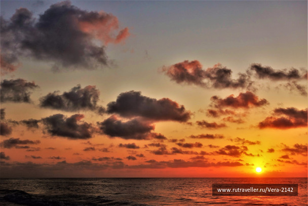 photo 1659414