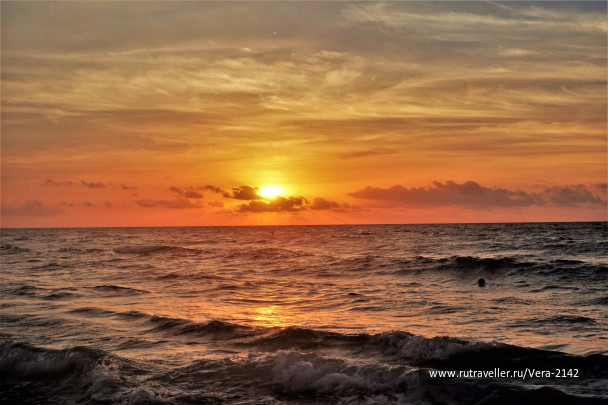 photo 1666179