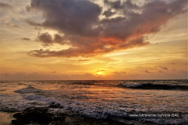 photo 1677325
