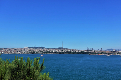 photo 1677973