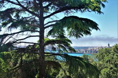 photo 1685305