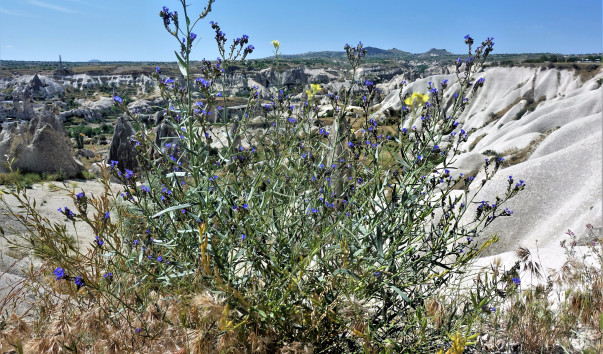 DSC00190