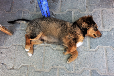 photo 1651947