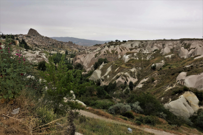photo 1698234