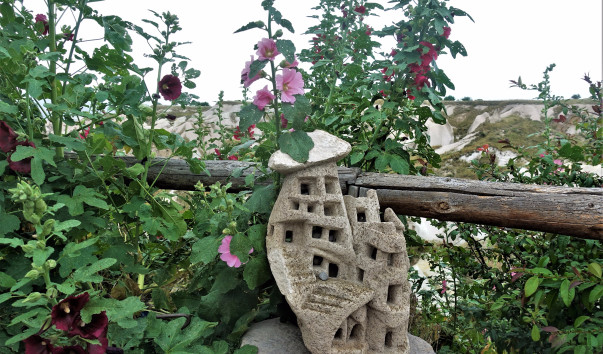 DSC00350