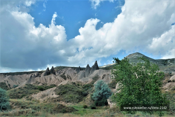 photo 1646178