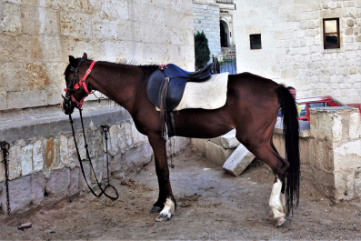 photo 1658278