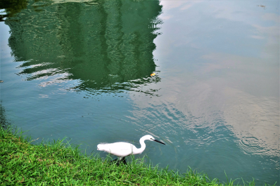 photo 1720363