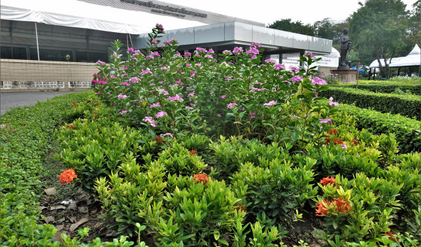 ������� ���� (5)