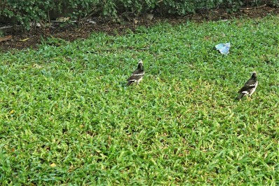 photo 1721412