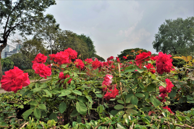 photo 1721747