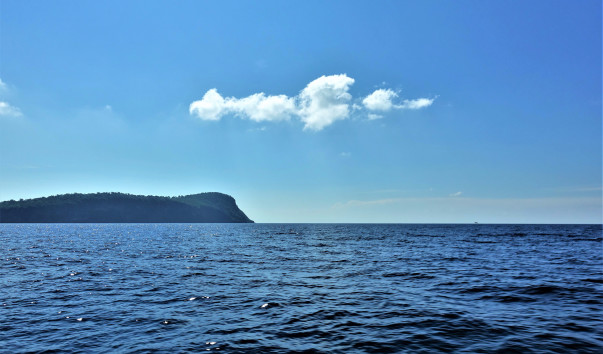 DSC02300