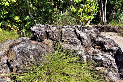 photo 1728968