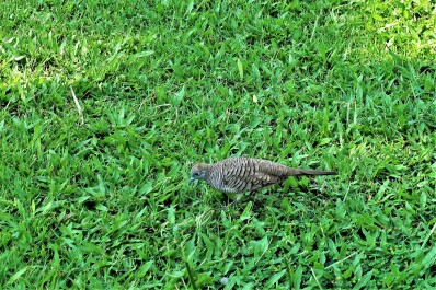 photo 1728269