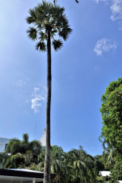photo 1746949