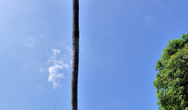 ����������� (22)
