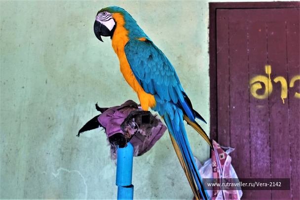 photo 1716251