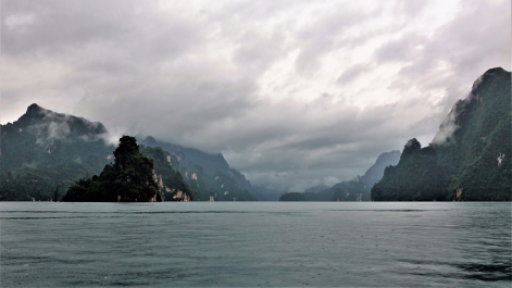 photo 1739569