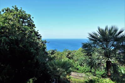 photo 1713451