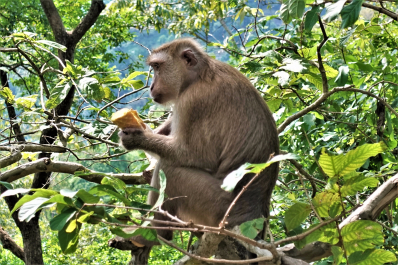 photo 1745715