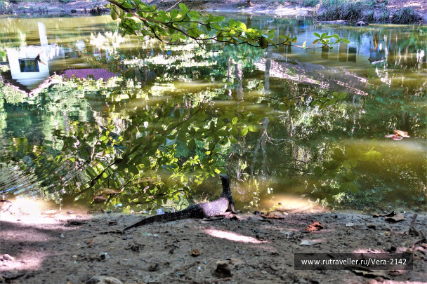 photo 1747284