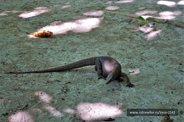 photo 1747320