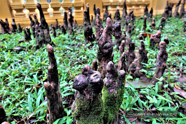 photo 1755684