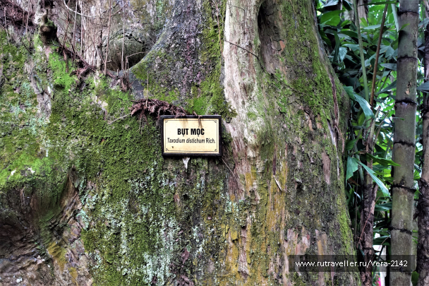 photo 1755963