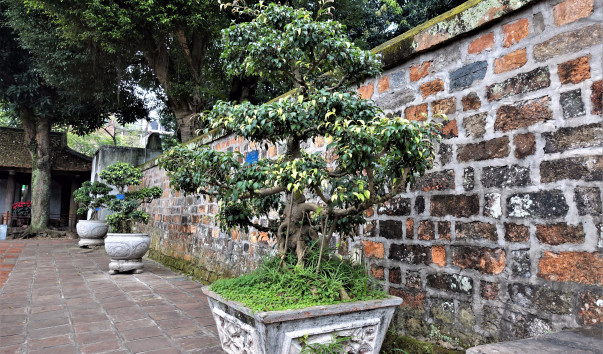 DSC02962