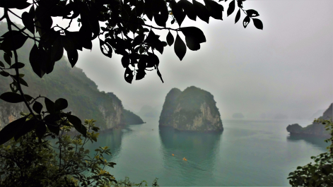 photo 1767645