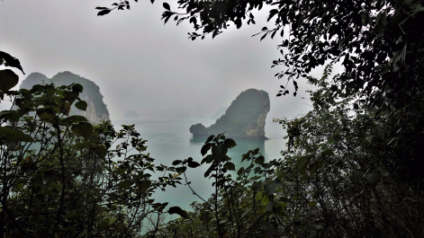 photo 1767858