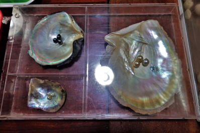 photo 1762601