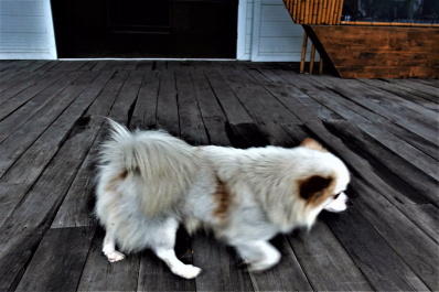 photo 1771926