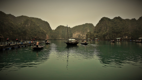 photo 1772337