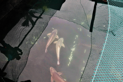 photo 1772419