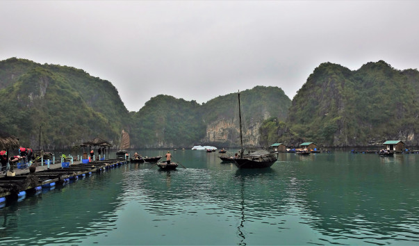 DSC03320