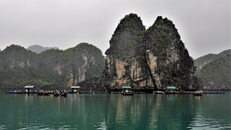 photo 1772655